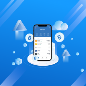 What is Blockchain wallet