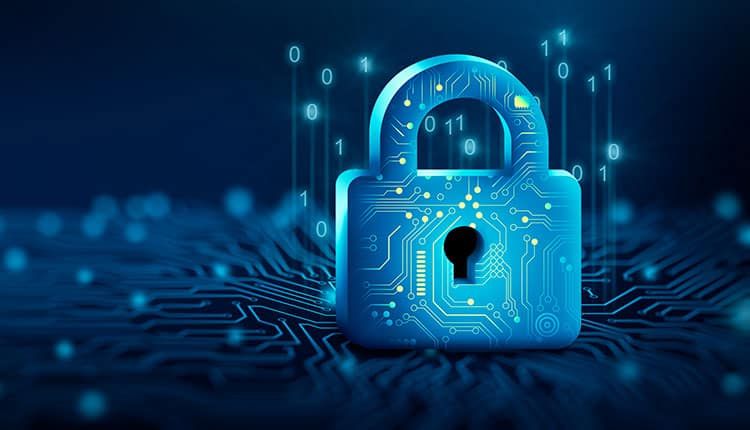 Cyber Security Services, Custom software development