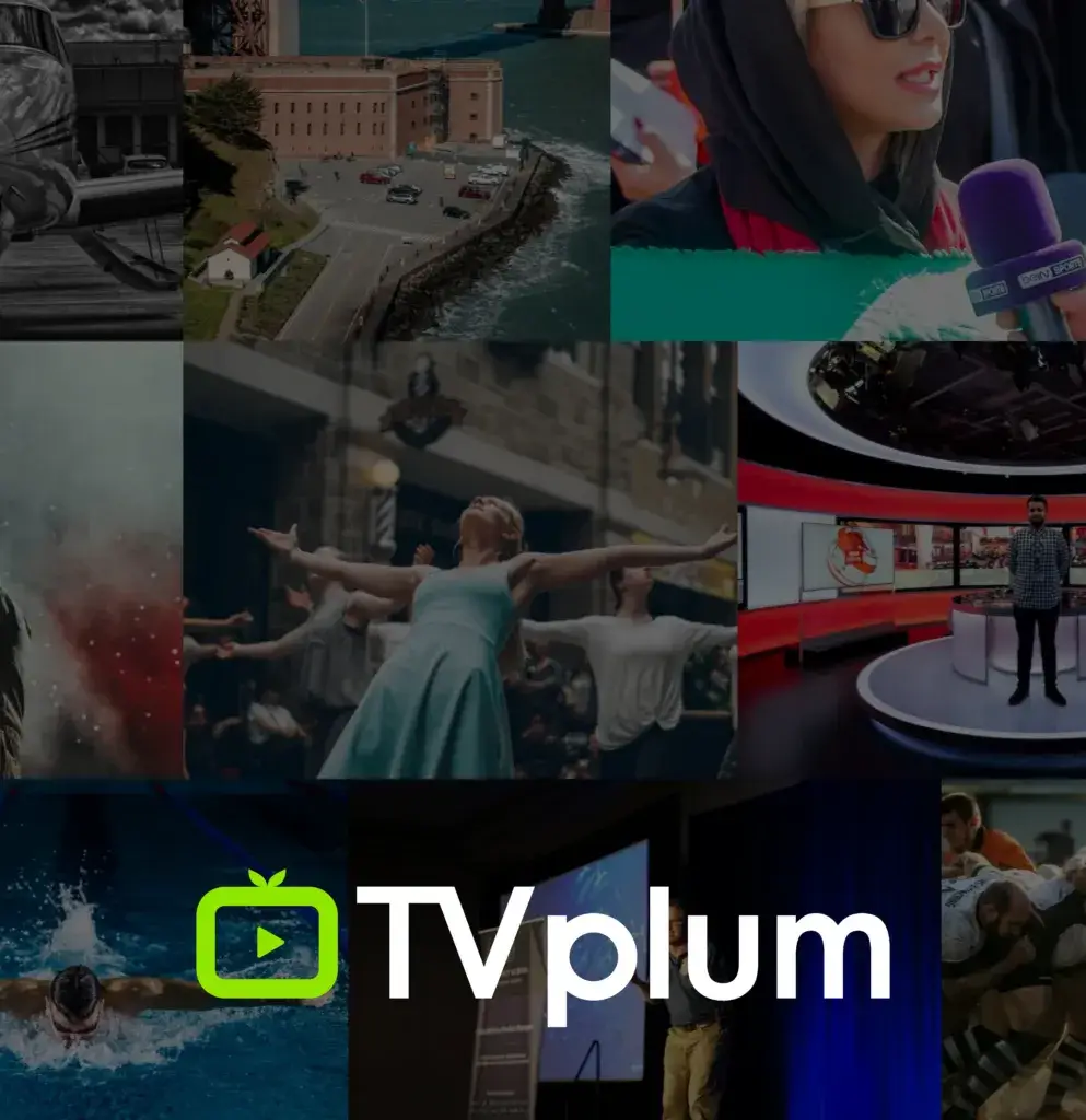 TVplum_main-1-993x1024