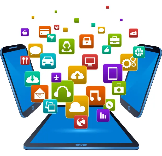 The Need for Professional Web Application Development The Need for Professional Web Application Development