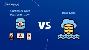 Customer data platform vs data lake