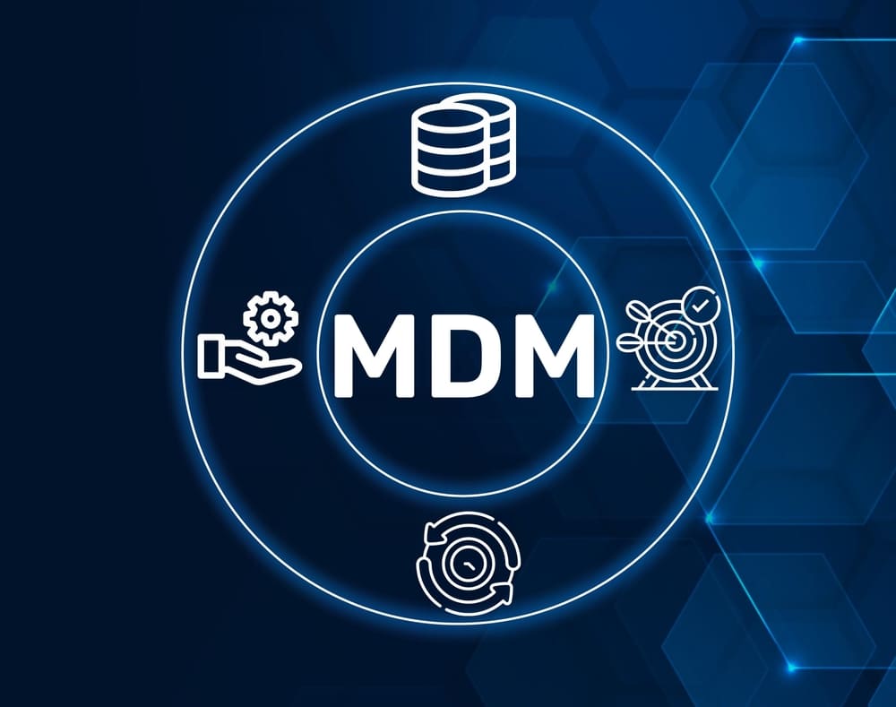 Customer Master Data Management Best Practices