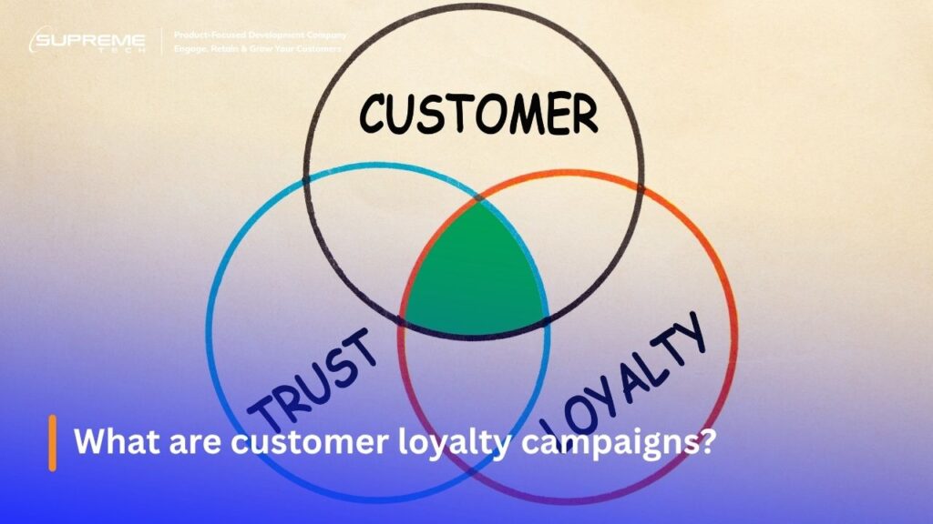 What are customer loyalty campaigns?