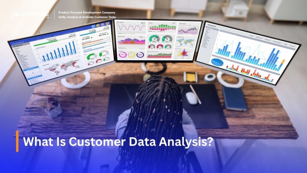What Is Customer Data Analysis?